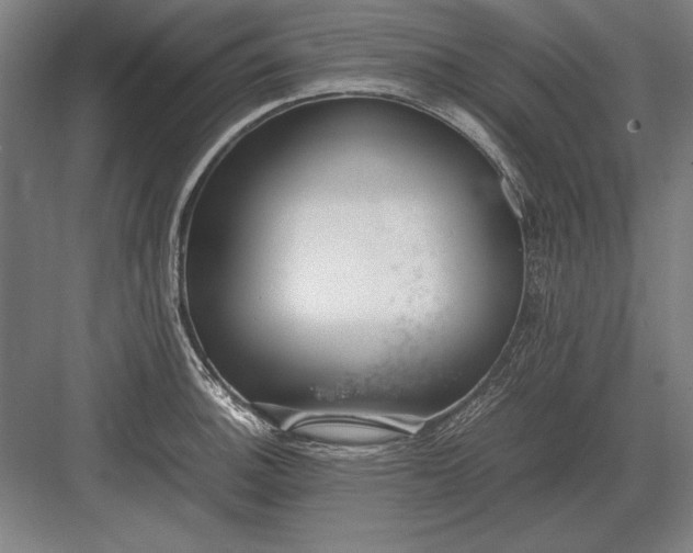 X0000083001140200702160043