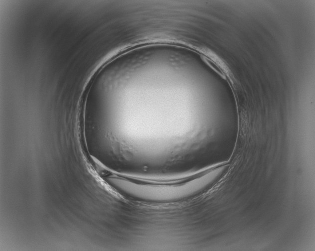 X0000083001142200702160043