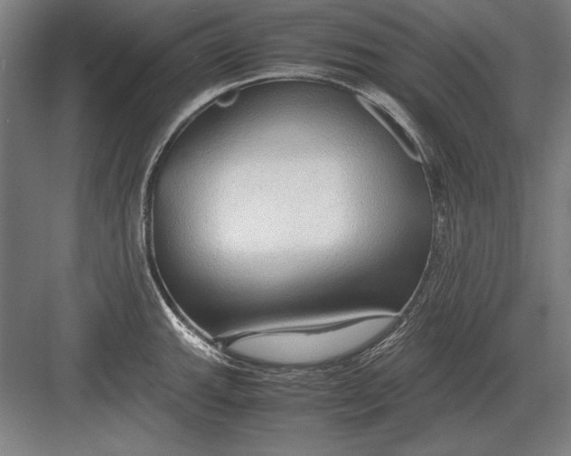 X0000083001143200702160043