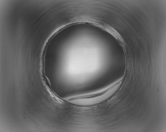 X0000083001144200702160043