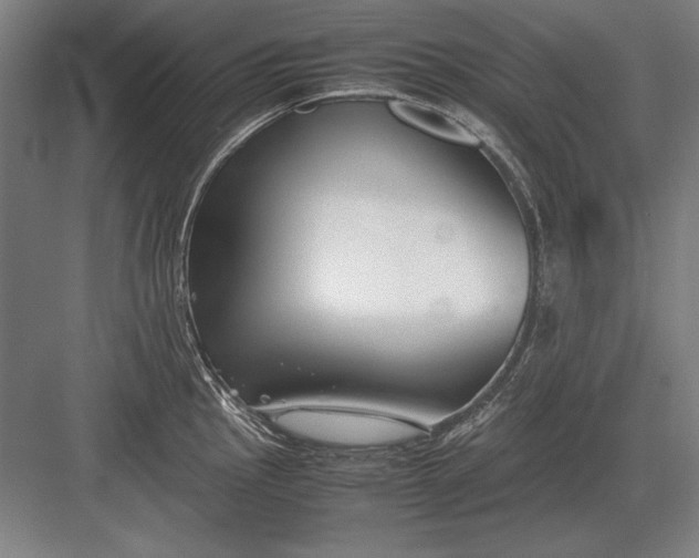 X0000083001145200702160043