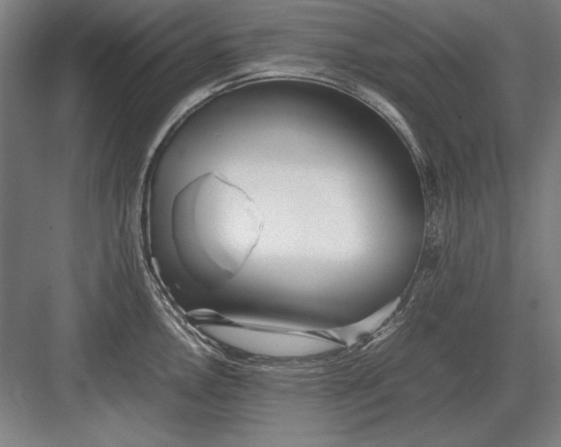 X0000083001146200702160043