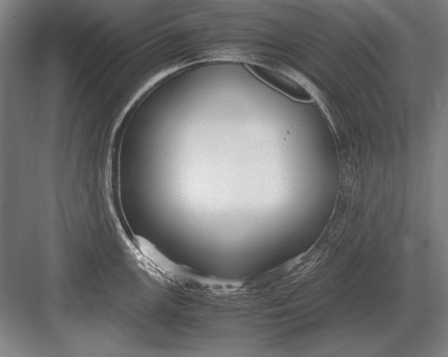 X0000083001147200702160043