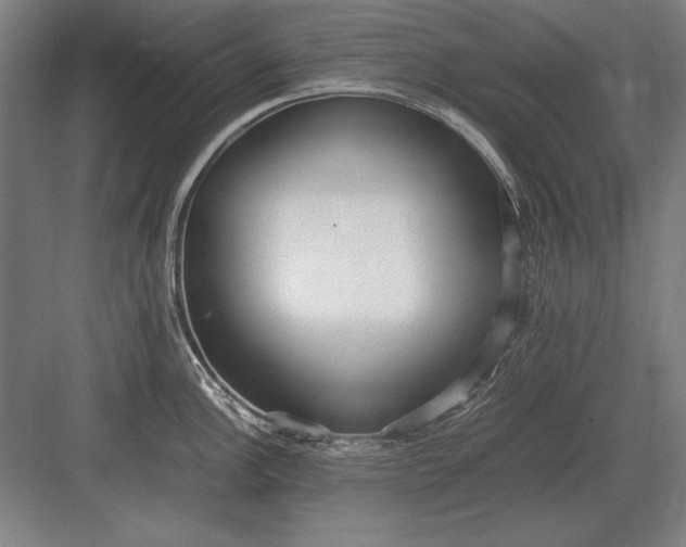 X0000083001148200702160043