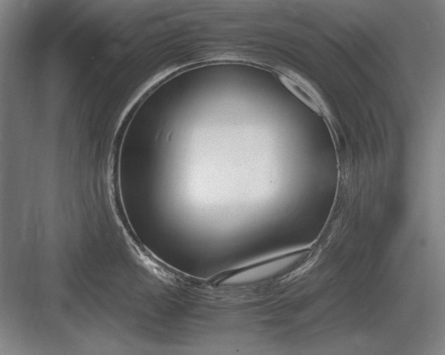 X0000083001149200702160043