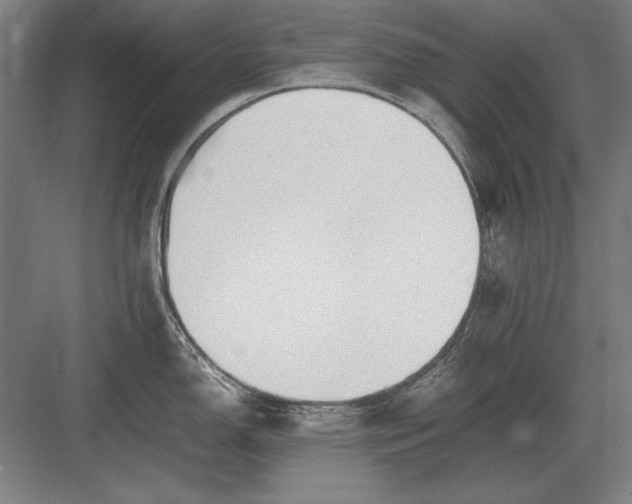 X0000083001150200702160043