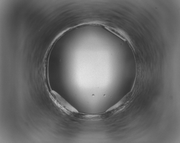 X0000083001151200702160043