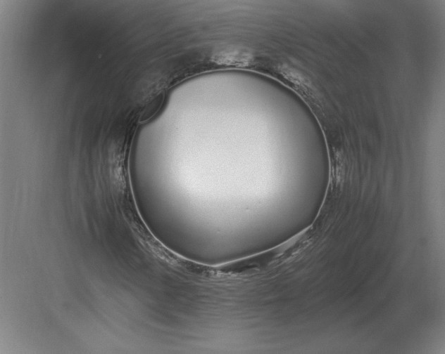 X0000083001154200702160042