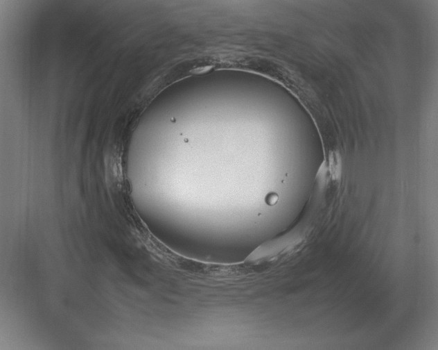 X0000083001155200702160042