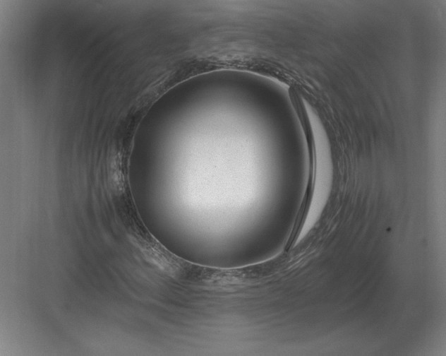 X0000083001156200702160042