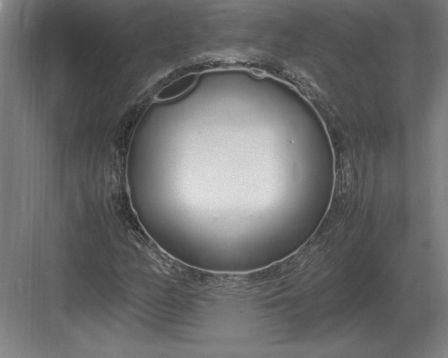 X0000083001158200702160042