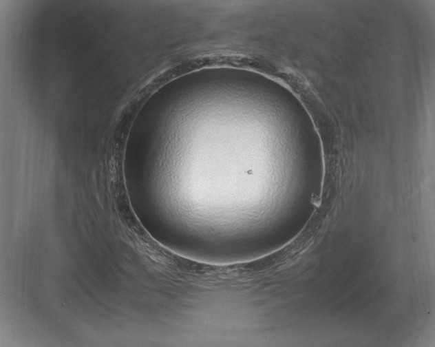 X0000083001159200702160042