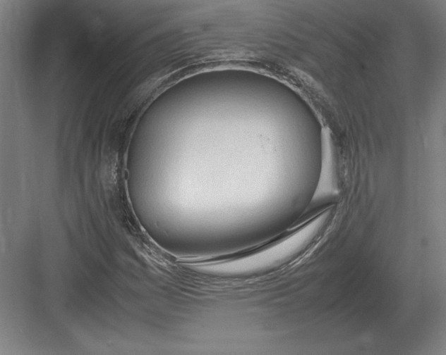 X0000083001161200702160042