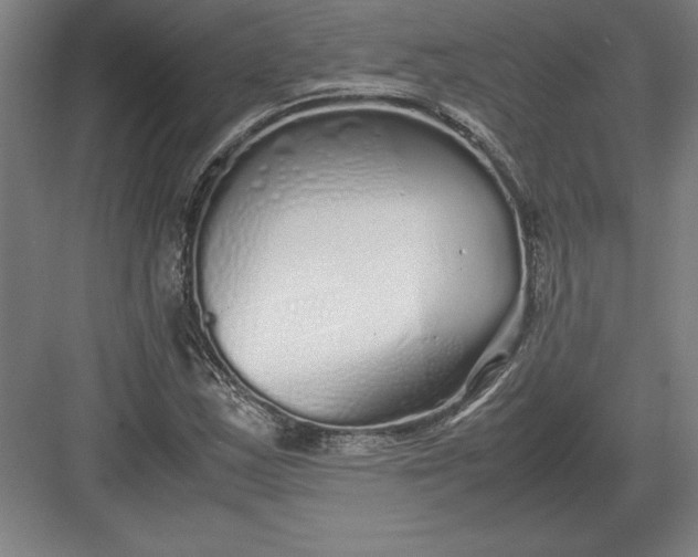 X0000083001163200702160042