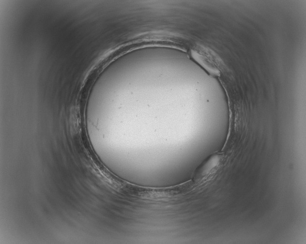 X0000083001164200702160042