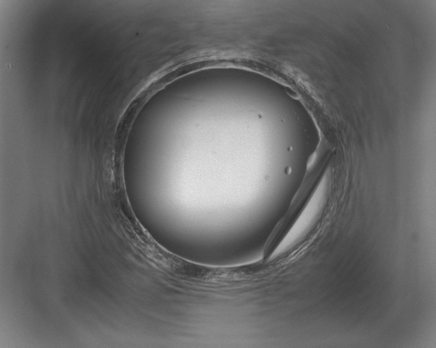 X0000083001165200702160042