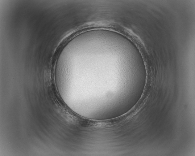 X0000083001166200702160042