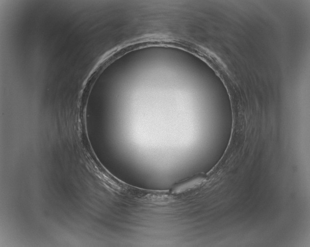 X0000083001168200702160042