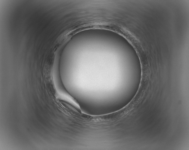 X0000083001169200702160042