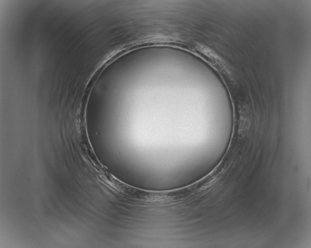 X0000083001170200702160042