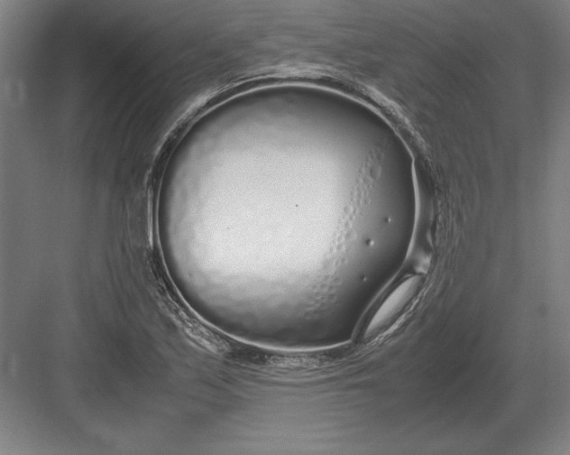 X0000083001171200702160042