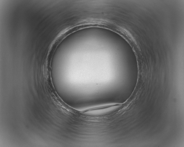 X0000083001172200702160042