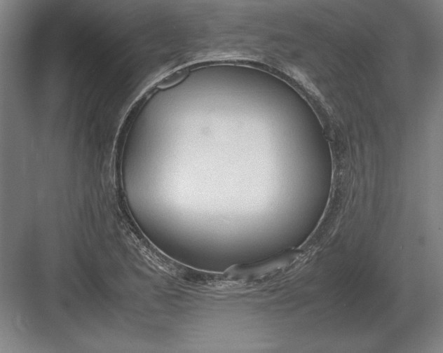 X0000083001173200702160042