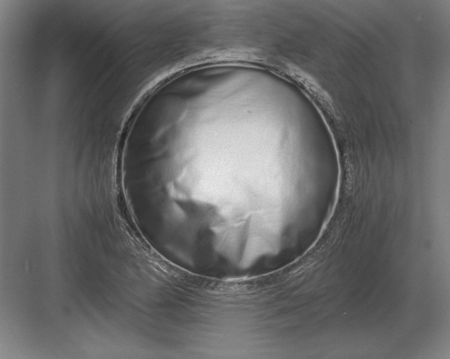 X0000083001174200702160042