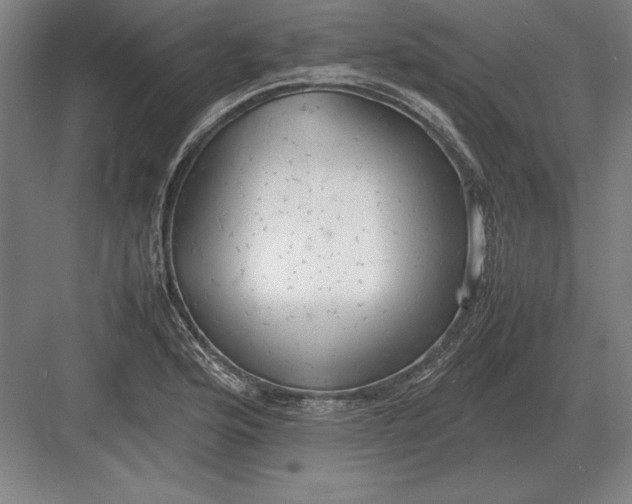 X0000083001176200702160042