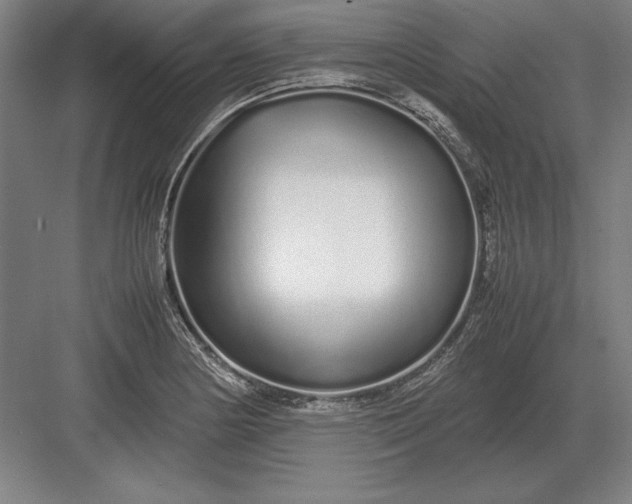 X0000083001178200702160041