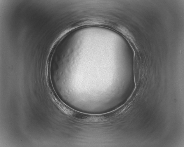 X0000083001179200702160041