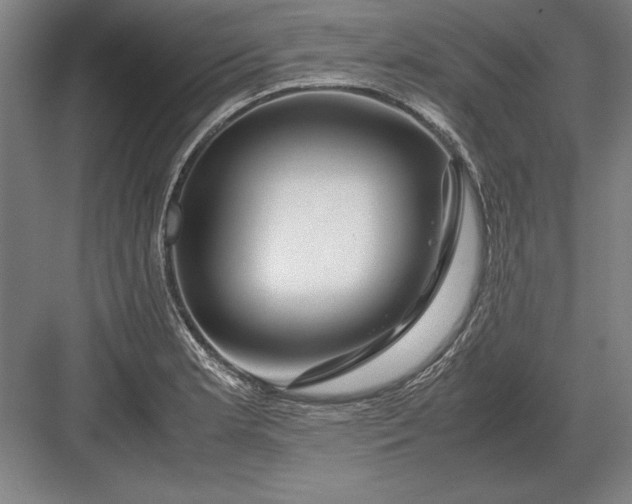 X0000083001181200702160041