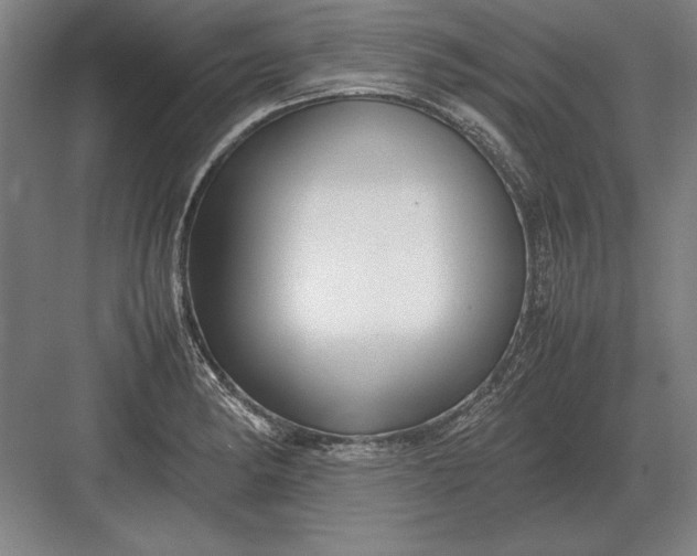 X0000083001182200702160041