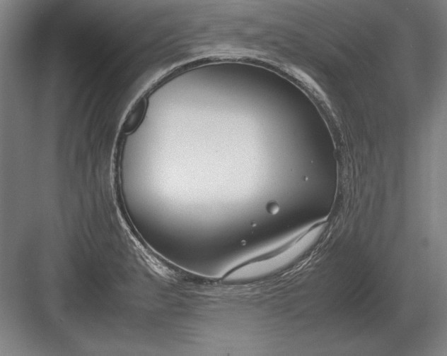 X0000083001183200702160041