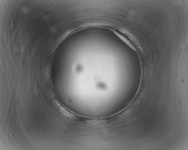 X0000083001185200702160041