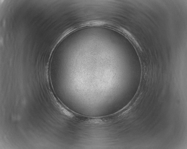 X0000083001186200702160041