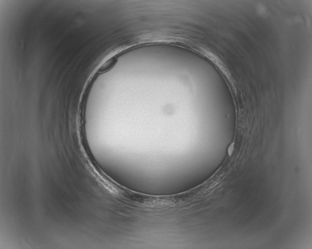 X0000083001187200702160041