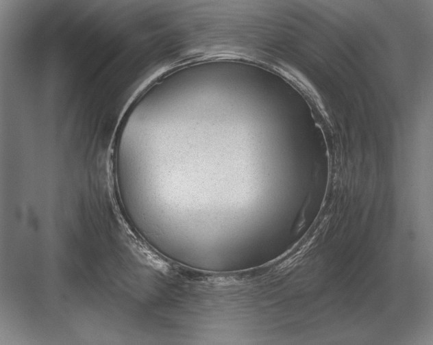 X0000083001190200702160041