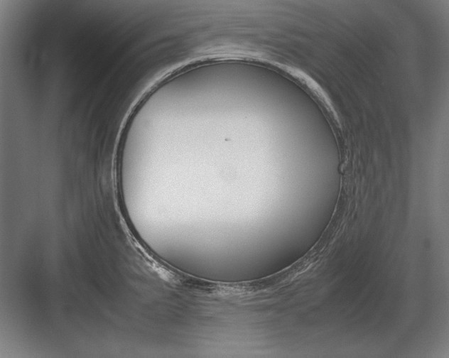 X0000083001191200702160041