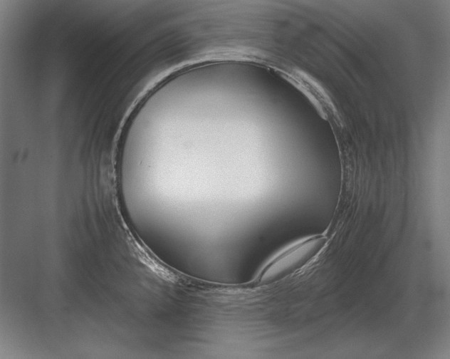 X0000083001192200702160041