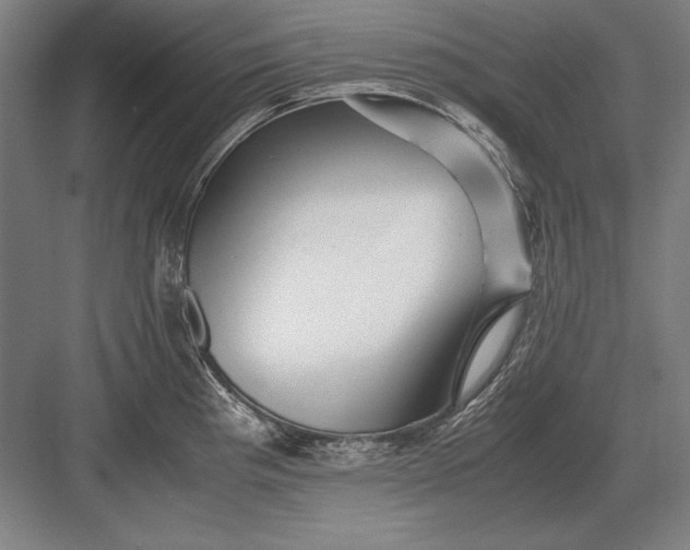 X0000083001193200702160041