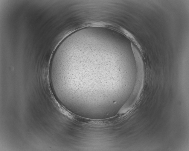 X0000083001194200702160041