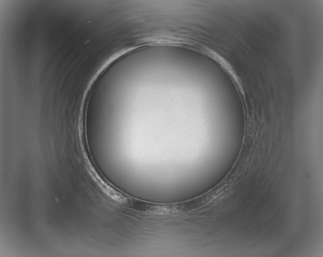 X0000083001195200702160041