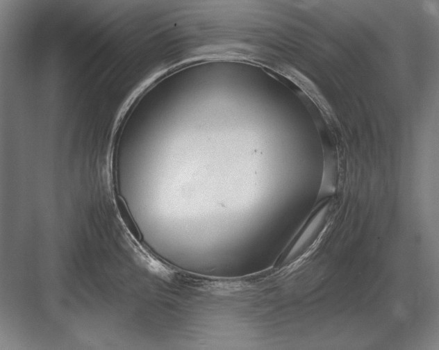 X0000083001196200702160041