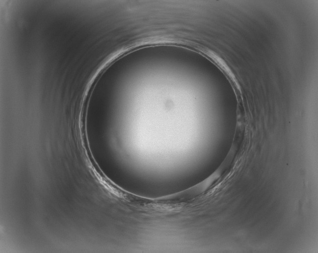 X0000083001197200702160041