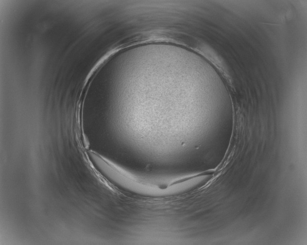 X0000083001198200702160041