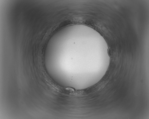 X0000083001201200702160040