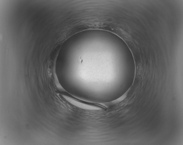 X0000083001202200702160040