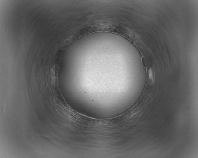 X0000083001203200702160040