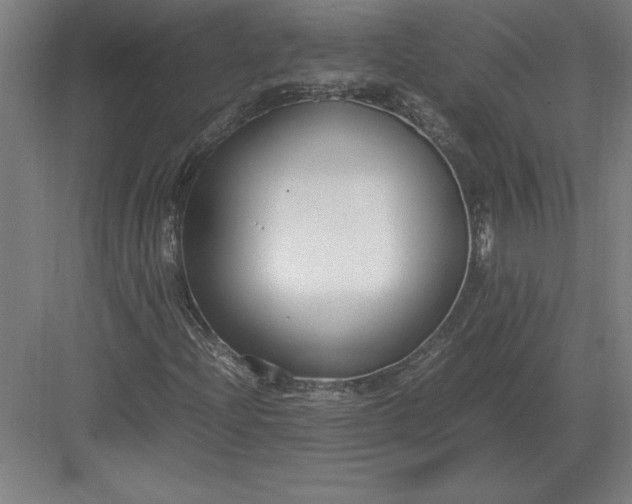 X0000083001204200702160040